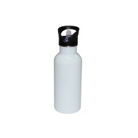 600ml Stainless Steel Bottle